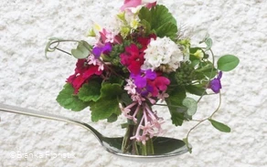 Blumenstrauß- Bianka Floristik.jpg