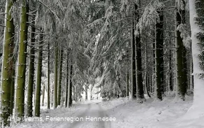 Bestwig Berlar BL1 im Schnee