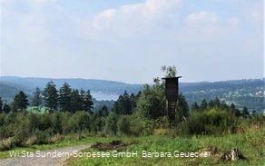 Blick auf den Sorpesee Blick auf den Sorpesee