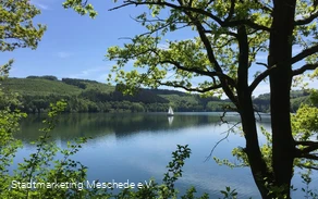 Hennesee