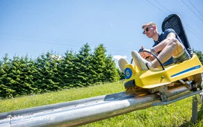 Ein Mann fährt auf einem Rodelschlitten eine Sommerrodelbahn hinab.