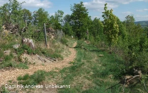 Rundweg Wülfte