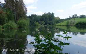 Idyllisch: Die Teiche entlang der Wanderstrecke Idyllisch: Die Teiche entlang der Wanderstrecke