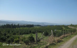 Aussicht Hubertushöhe 