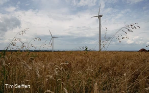 Acker (c) Tim Seiffert.jpeg Acker (c) Tim Seiffert.jpeg