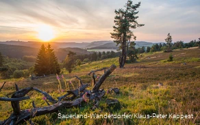 Kahle Pön en weids landschap bij zonsondergang.