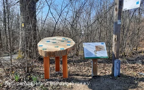 Bäume, ihr Alter und wichtige Ereignisse