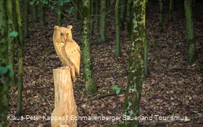Geschnitzte Eule an der Fotoroute Oberhenneborn