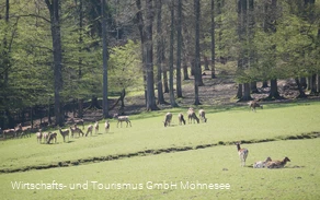 Wildpark Völlinghausen Wildpark Völlinghausen