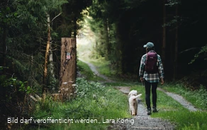 Wanderin mit Hund auf einem Waldweg auf dem Rothaarsteig Wanderin mit Hund auf einem Waldweg auf dem Rothaarsteig