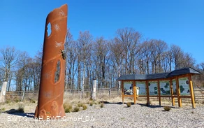 20250407_115402.jpg