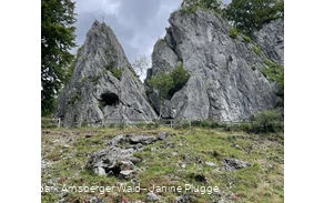 Wildpark Bilsteintal Warstein Wildpark Bilsteintal Warstein