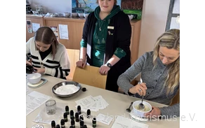 Westfalen salt mines