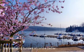 Sorpesee in de lente