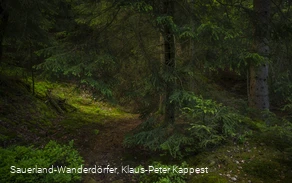 Sauerland-Seelenort Steinbruch am Schinkenkeller Sauerland-Seelenort Steinbruch am Schinkenkeller