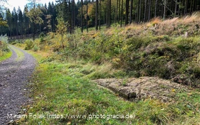 Der Hohlweg mit der Karrenspur in der Nähe der Lis