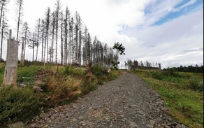 Mountainbike 1.jpg