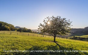 Sauerland-Seelenort Lausebuche Sauerland-Seelenort Lausebuche