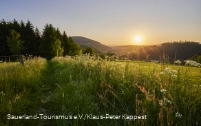 Zonsondergang over groene heuvels en velden.