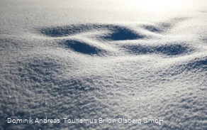 Schneedecke Brilon