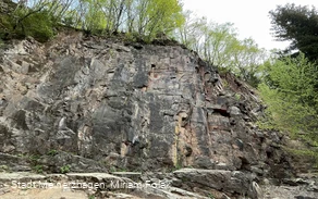 20220505_Scharpenbeul (11).jpg