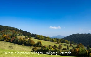 Wandern im Herbst in Willingen