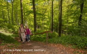 Wandern im Schmallenberger Sauerland