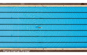 Forest outdoor pool-04.jpg