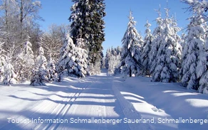 Skilanglauf im Schmallenberger Sauerland