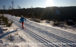 Langlauf im Sonnenschein