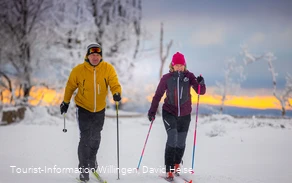 Langläufer bei Sonnenuntergang