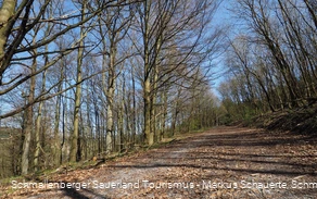 Weg zwischen Menkhausen und Hardebusch