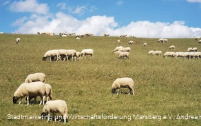 Glockengrund Udorf Glockengrund Udorf