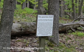 Infotafel am Weg