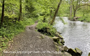 Fluss im Hönnetal Fluss im Hönnetal