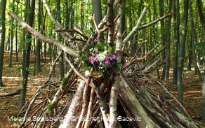 Wald-Tipi