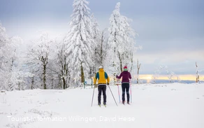 Langläufer-Paar in der Loipe in Willingen 