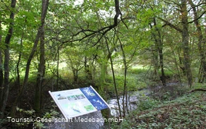 Infotafel 6 am Gewässerpfad Orke