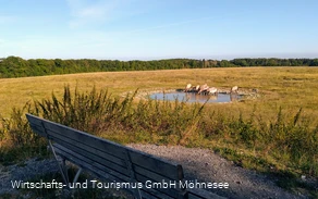 Naturschutzgebiet Kleiberg
