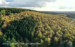 Der Sauerländer Wald ist Thema dieses Wanderweges