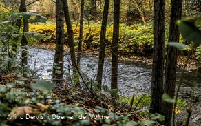 Auch nah am Wasser entlang führt der Themenweg Auch nah am Wasser entlang führt der Themenweg
