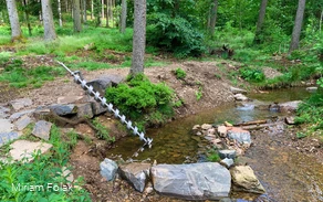 20210607 Wanderparkplatz Quellental, (c) Miriam Folak.JPG