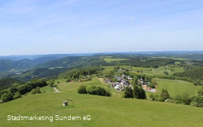 Wildewiese vom Schombergturm