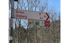 51_Beschilderungskataster_Wegweiser-Brilon-Olsberg_493916.jpeg