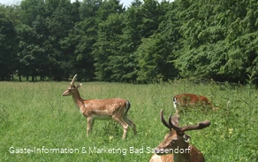 Freiherr-von-Wintzingerode-Park