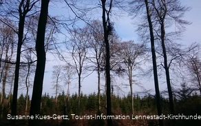 FFH Gebiet Apollmicke-Einsiedelei