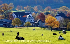 Altenhellefeld_Andre Geißler Altenhellefeld_Andre Geißler