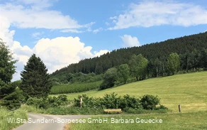 Bank im Rammstall