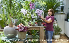 Blumen Lindner (3).jpg