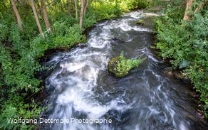 Bachlauf Bachlauf